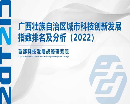 疯骚美女干逼视频【成果发布】广西壮族自治区城市科技创新发展指数排名及分析（2022）